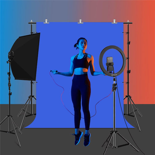 Suport Portabil Fundaluri Fotografice 2x2m 3 Fundaluri 4 Cleme Pliabil Asamblare Ușoară Geantă Studio Foto Video Inclusă Multicolor