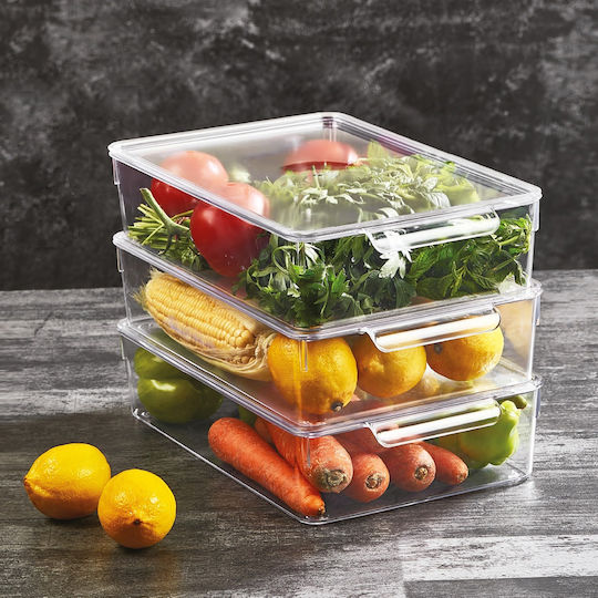 Orion General Use Fridge Organiser Basket 32.5x20x7.5cm