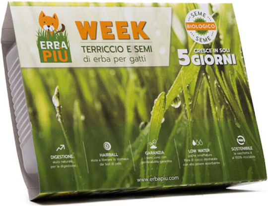 Pet Camelot Erbapiu Kit Sporas Grass with Ton with Catnip for Cat