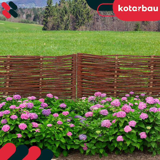 Kotarbau Gardă Viu De Grădină În Culoare Bej 60x20cm