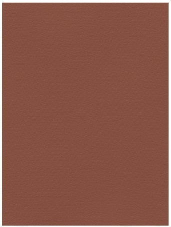 Favini Karton 50x70cm 220g Braun Schokolade Nr. 11