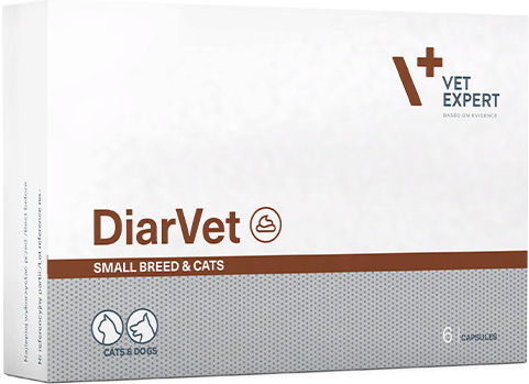 VetExpert Diarvet Πολυβιταμίνες Σκύλου και Γάτας 6 tabs για Ενίσχυση Οργανισμού