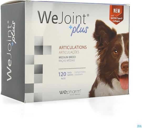 Wepharm Plus Multivitamine für Hunde in Tablettenform 120 Registerkarten für Gelenke