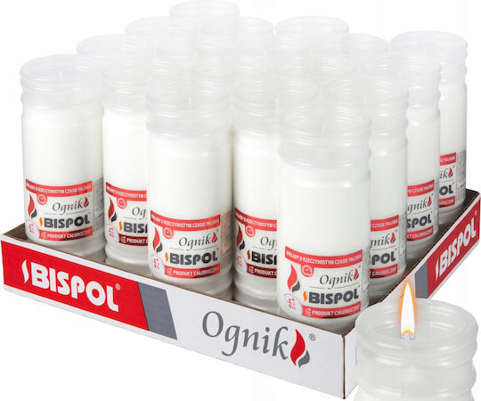 Bispol Wp5n Filled Firelight Insert 18 Pcs