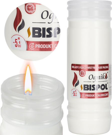 Bispol Wp5n Filled Firelight Insert 18 Pcs