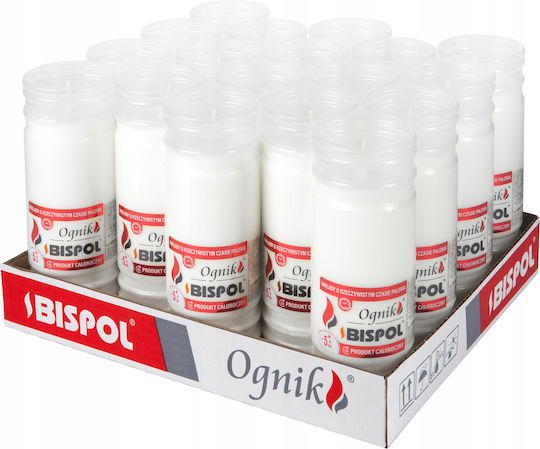 Bispol Wp5n Filled Firelight Insert 18 Pcs