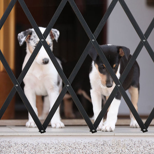 Relaxdays Relaxdays Hundetore in Schwarz 130 x 22cm