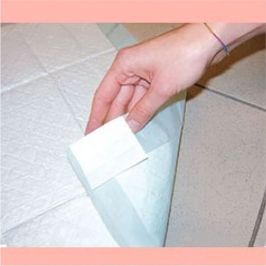 Ferplast Pampers pentru câini 60x60cm 10buc