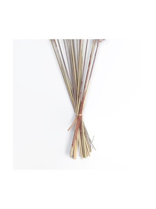 Globostar Artificial Garden Real Dried Brown Pampas Grass Bunch 21215 Αποξηραμένο Διακοσμητικό Μπουκέτο Pampas Kάφε Y50cm Σετ 15 Τμχ