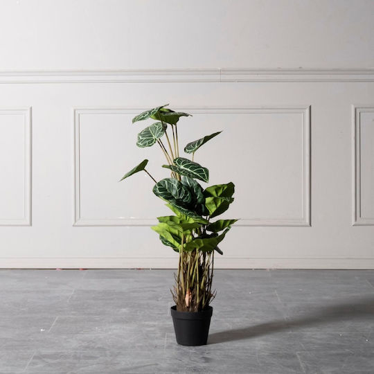 Supergreens Artificial Tailflower Clarinervium Green 90 Cm 6-1279