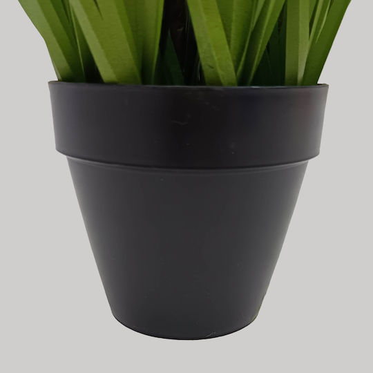 Γρασίδι σε Γλάστρα 68cm InTheBox