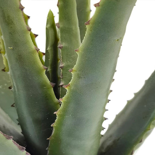 Plantă Artificială în Ghiveci Mic Aloe Green Home & Camp