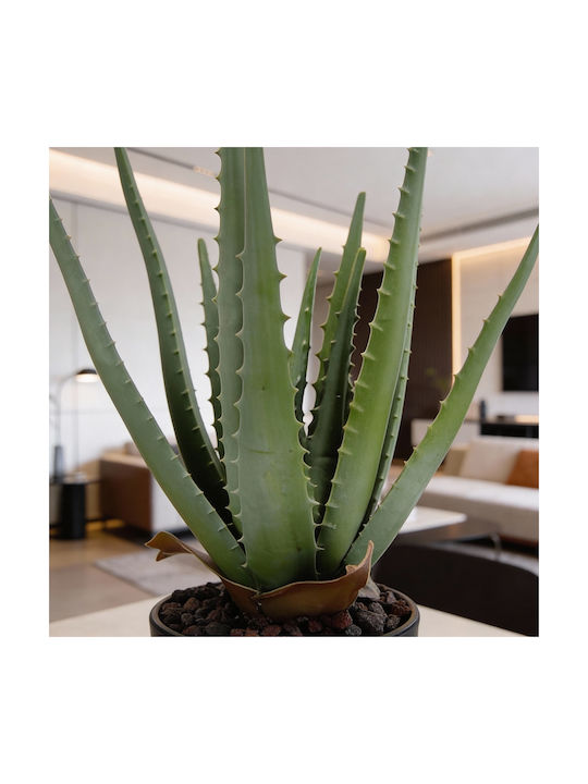 Künstliche Aloe-Pflanze im Topf 45 cm hoch grün naturgetreue Dekoration
