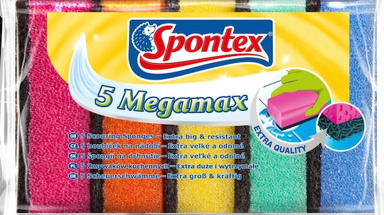 Spontex Set Küchenschwämme Gerichte Silber 5Stück