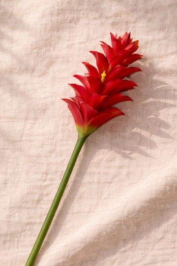 Decorative Artificial Red Ginger Plant 75cm Decorative Artificial Red Ginger Plant 75cm
