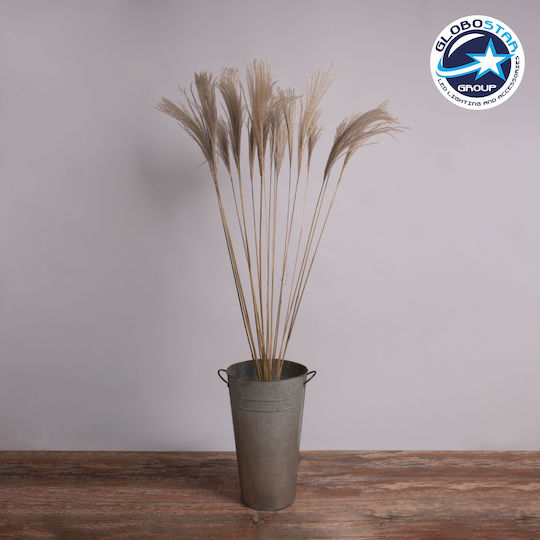 Globostar Miscanthus 36539 Dried Miscanthus Plant Bouquet of Decorative Beige Branches H140cm Set of 10 Pieces