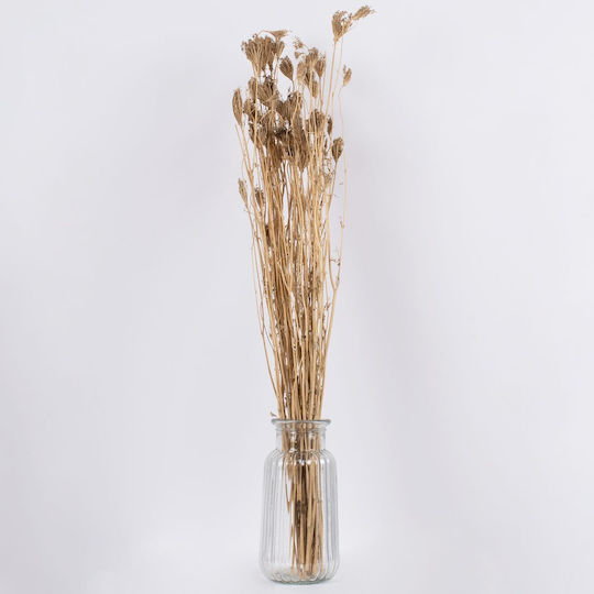Globostar Wildcarrot 36547 Dried Wild Carrot Plant Bouquet of Decorative Beige Branches H80cm Set of 10 Pieces