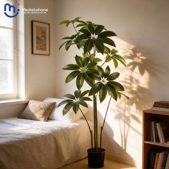 Medrelaxhome Διακοσμητικό Τεχνητό Φυτό Παχίρα (Pachira) h140cm
