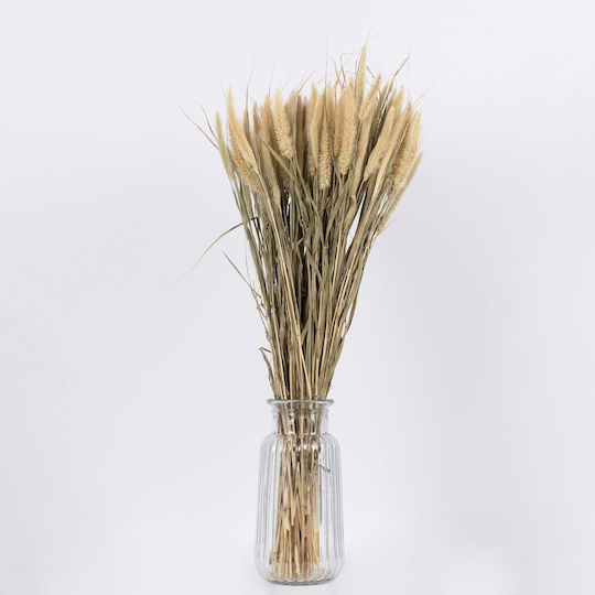 Globostar Pennisetum 36503 Dried Pennisetum Plant Bouquet of Decorative Branches Beige Green Height 60cm Set of 100 Pieces