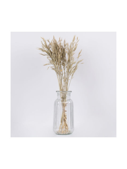 Globostar Wheat 36548 Dried Plant Wheat Bouquet of Decorative Branches Beige Green H60cm Set of 50 Pieces