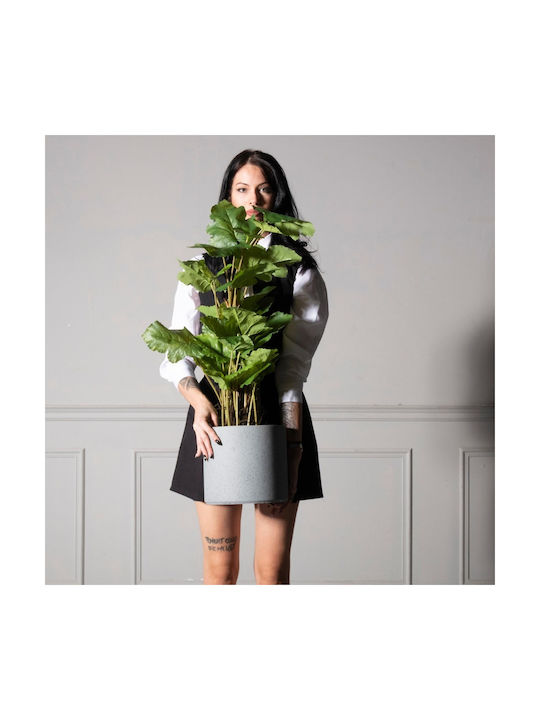 Supergreens Plantă Artificială Philodendron Verde 90 Cm 6-1280