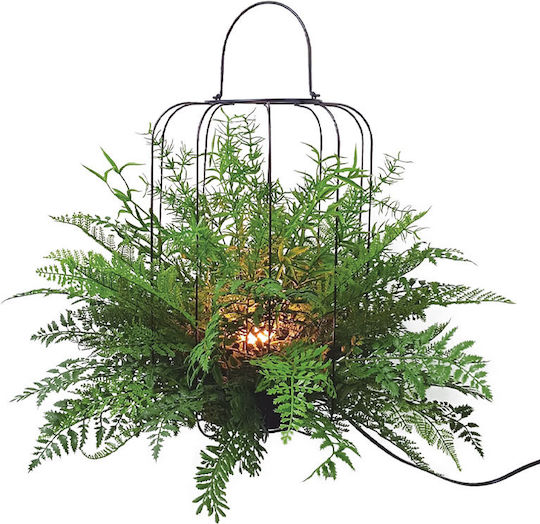 Farn in Topfpflanze 68cm Marhome