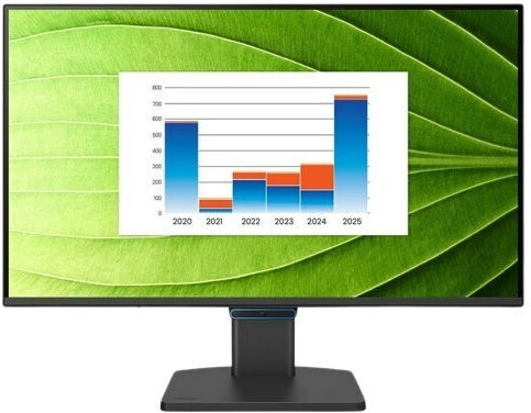 BenQ BL2490C IPS Monitor 23.8" FHD 1920x1080 144Hz mit Reaktionszeit 5ms GTG