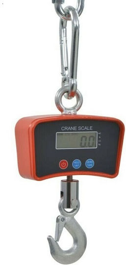 Electronic Professional Crane Scale with Weighing Capacity 300kg and Accuracy 100g