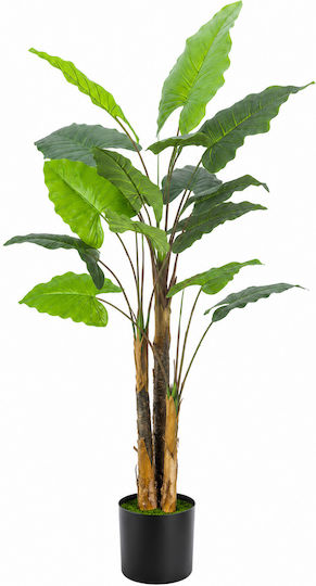 Plantă Tropicală Artificială În Ghiveci 190cm Decor Modern Pentru Interior Plantă Tropicală Artificială În Ghiveci 190cm Decor Modern Pentru Interior