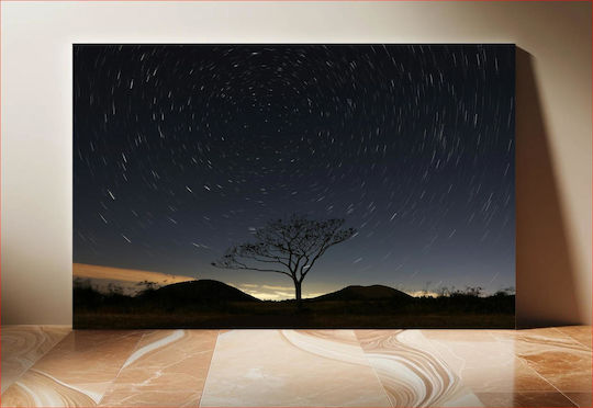 Lone Tree Under Swirling Stars Μοναχικό Δέντρο Κάτω Από Στροβιλιζόμενα Αστέρια 1 Lone Tree Under Swirling Stars Μοναχικό Δέντρο Κάτω Από Στροβιλιζόμενα Αστέρια 1
