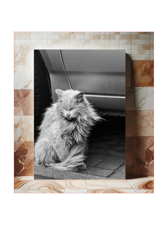 Πίνακας Black White Cat Sitting By A Car Ασπρόμαυρη Γάτα Κάθεται Δίπλα Ένα Αυτοκίνητο 60x90