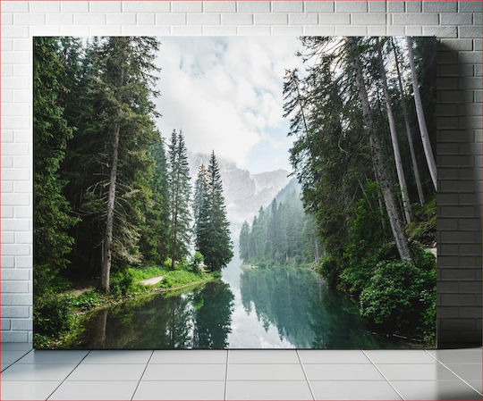 Tranquil Forest Lake Ήρεμη Λίμνη Δάσους 1
