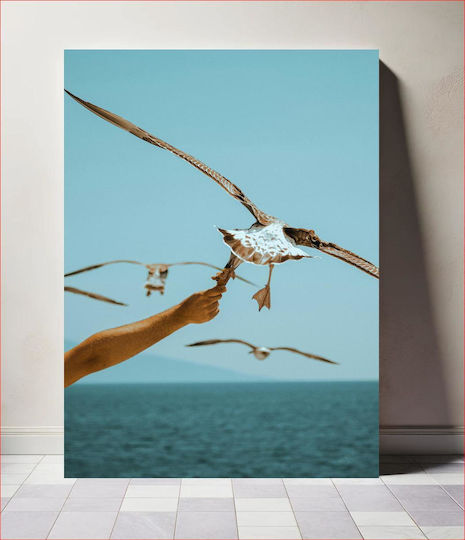 Feeding Seagulls By The Sea Gemälde in Segeltuch