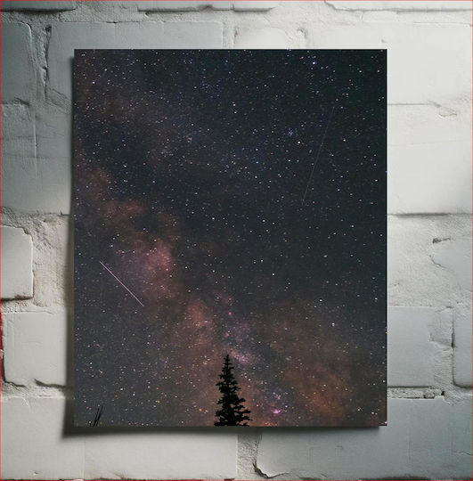 Nacht Himmel Mit Sternen Und Baum 1 Auf Segeltuch