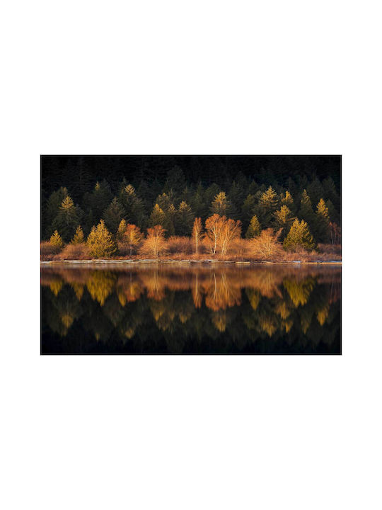 Πίνακας Reflection Autumn Trees Αντανάκλαση Δέντρων Του Φθινοπώρου 170x115