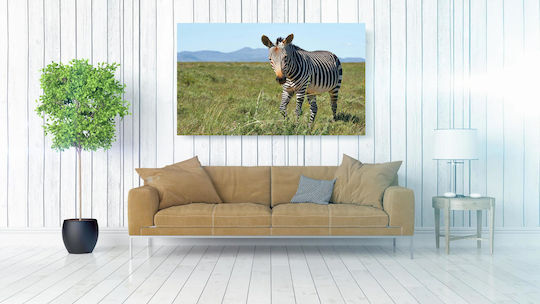 Panou Zebra În Câmp Zebre În Câmp 100x70