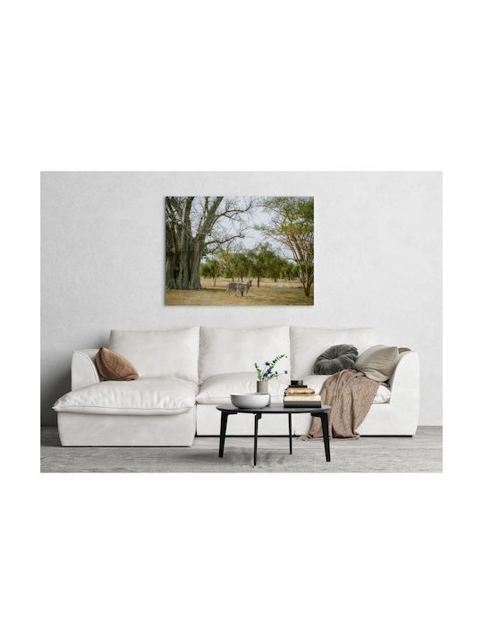 Πίνακας Zebras Under Baobab Tree Ζέβρες Κάτω Δέντρο Baobab 100x70