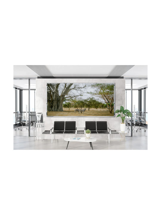 Πίνακας Zebras Under Baobab Tree Ζέβρες Κάτω Δέντρο Baobab 100x70