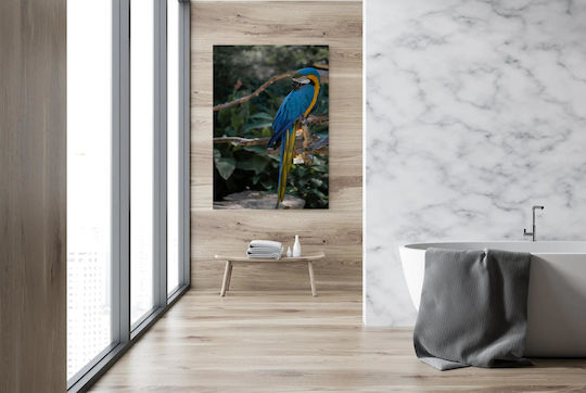 Painting Colorful Parrot Perching Multicolored Parrot 80x120