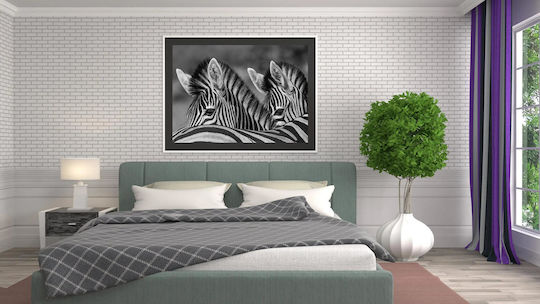 Black And White Zebras Ασπρόμαυρες Ζέβρες 1