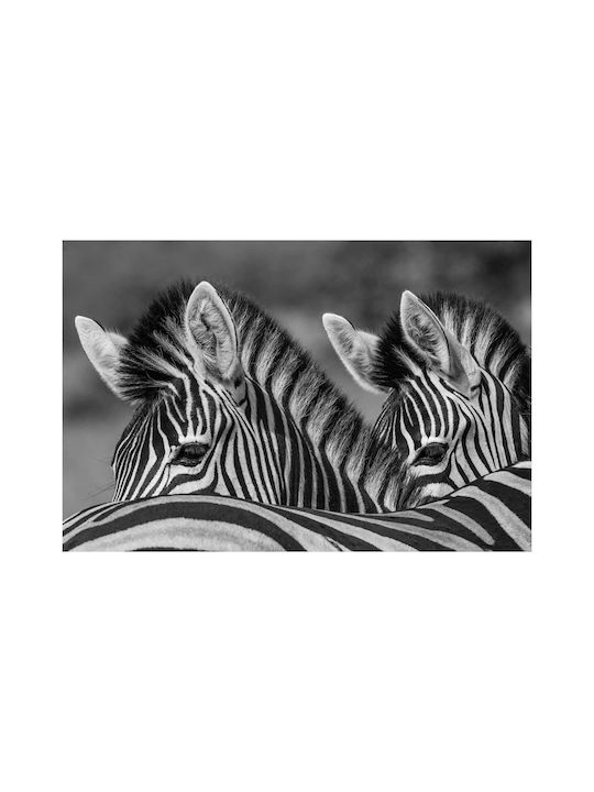 Панел Black White Zebras Асфромаври Зебри 100x70