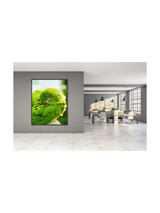 Panou Colorat Papagal Prim-Plan Multicolor 80x120