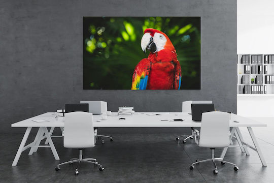 Панел Colorful Parrot In Nature Многоцветен Папагал В Природата 150x100