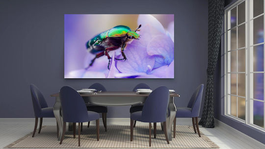 Πίνακας Colorful Beetle On Flower Πολύχρωμο Σκαθάρι Στο Λουλούδι 100x70