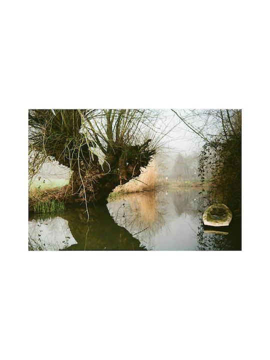 Reflection Ein Alter Baum Am Fluss Gemälde 100x70