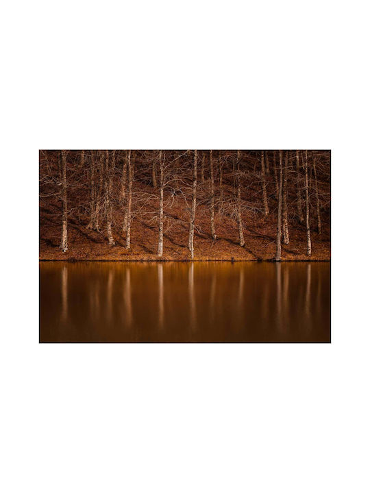 iLovePrints Reflection Trees Bei Lake Ölgemälde 100x70