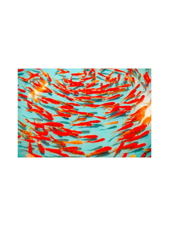 Панел Colorful School Fish Многоцветно Училищно Рибки 100x70