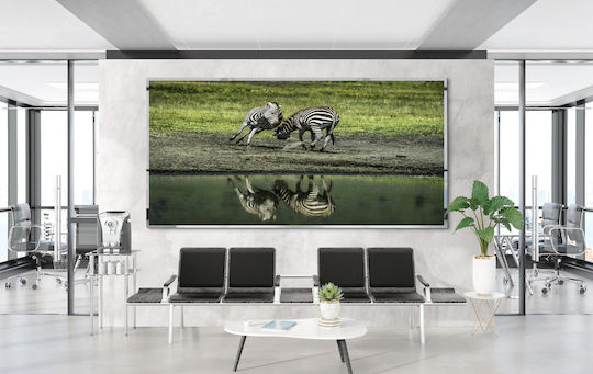 Panou Zebre Lângă Apă 100x70