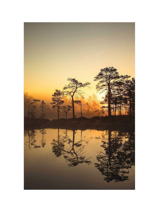 Панел Sunset Reflection Trees Залез Отражение На Дървета 70x100