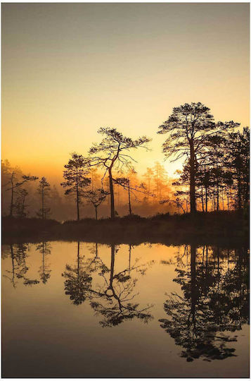 Πίνακας Sunset Reflection Trees Ηλιοβασίλεμα Αντανάκλαση Δέντρων 70x100